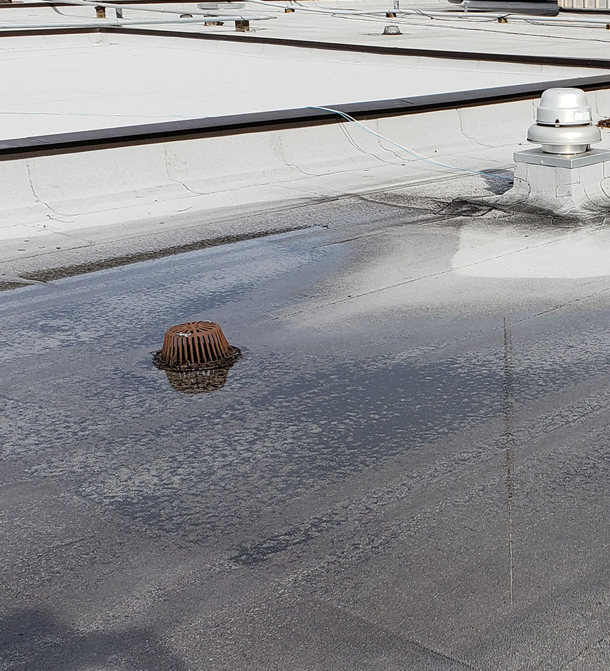 ponding water on flat roof