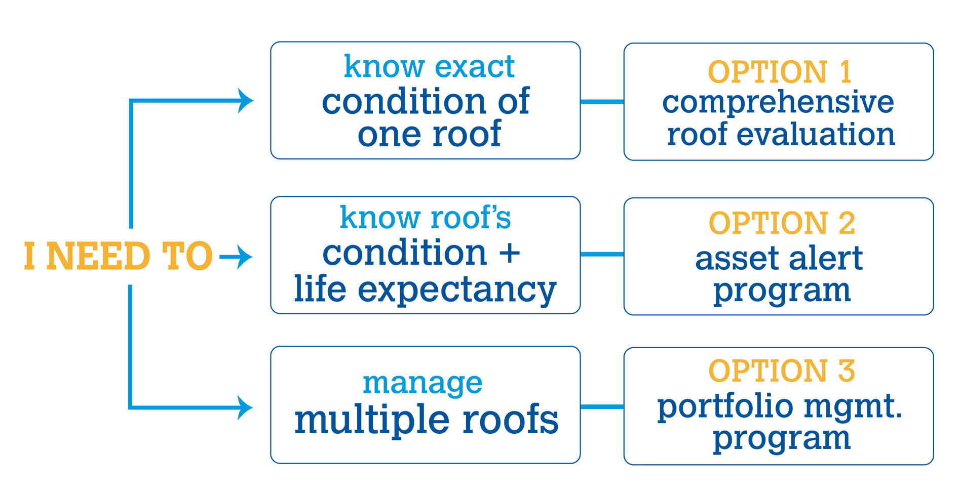 choice infographics: what roofing scenario applicable to you