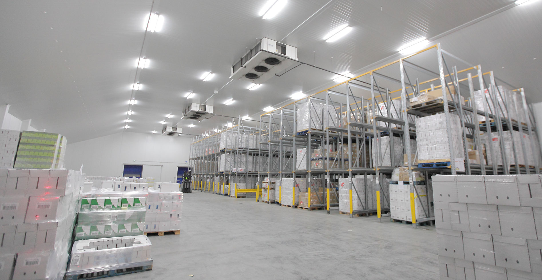 interior of a cold storage facility with perishable inventory