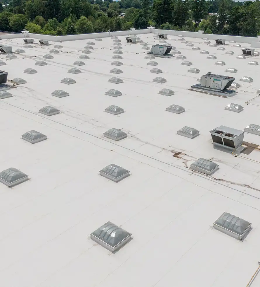 skylight on an industrial building roof